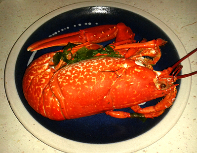 Homard cuit au court-bouillon  -- 22/07/14