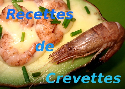 Naissance d'un nouveau Site de Recettes de Cuisine -- 01/05/10