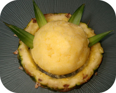 Sorbet Ananas -- 11/06/08