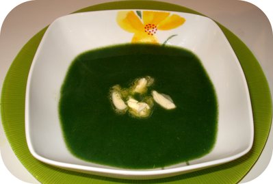 Soupe de Laitue -- 05/02/08