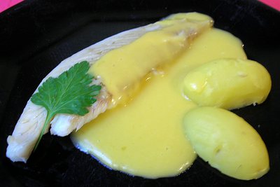 Turbot  sauce hollandaise -- 12/11/04