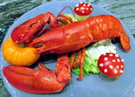 Homard Halloween -- 01/11/20