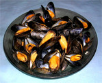 Moules marinires -- 18/02/05