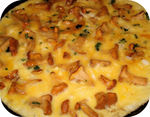 Omelette aux Petites Girolles -- 11/08/09